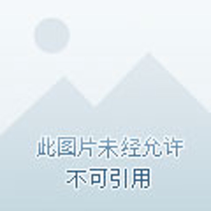 在京洛阳企业选购指南：一网打尽优质供应商